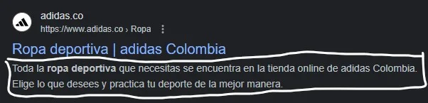 descripcion SEO en el resultado de búsqueda